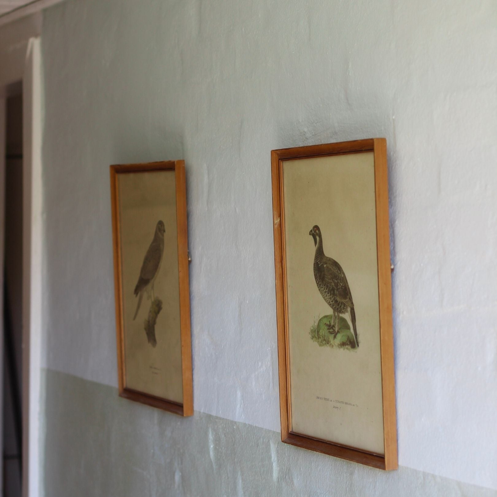 Frost - Kalkfärg | Naturlig färg